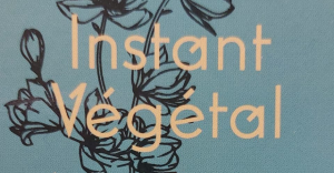 Instant vegetal